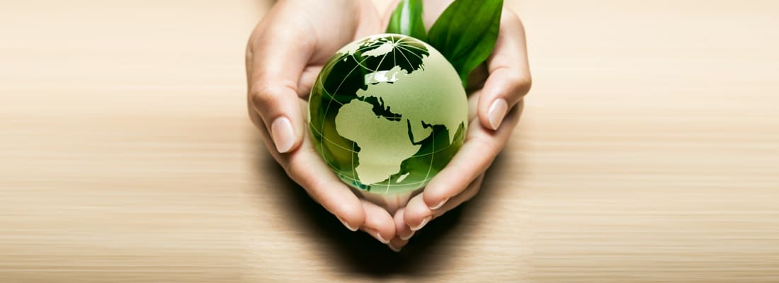 День Эколога и Всемирный день окружающей среды